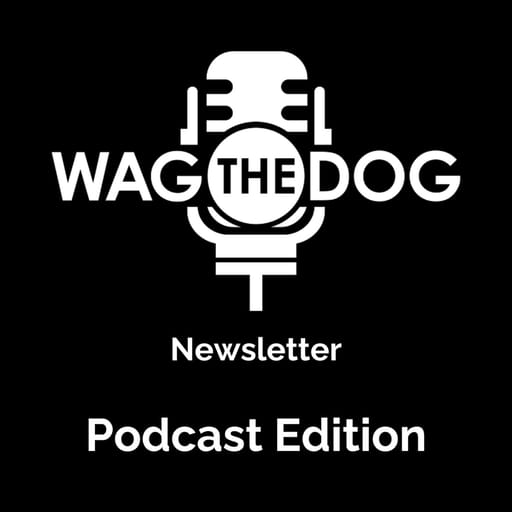 The Business of Podcasting – an interview with Steve Lubetkin