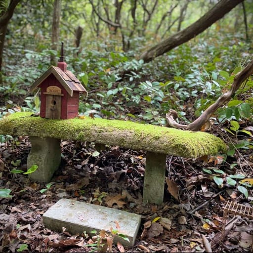 The Incredible Power of Personal Solitude