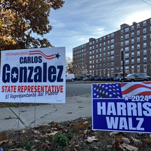 Latino Voices React to 2024 Results