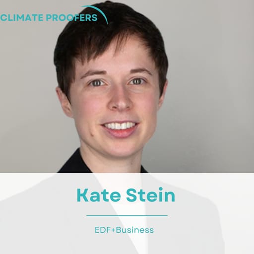 Kate Stein On Confronting America's Uninsurability Crisis