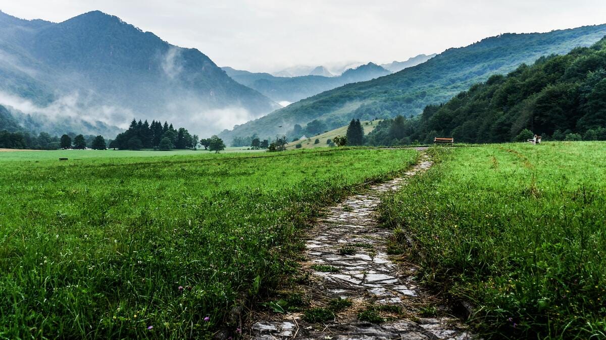 path through grass to mountains