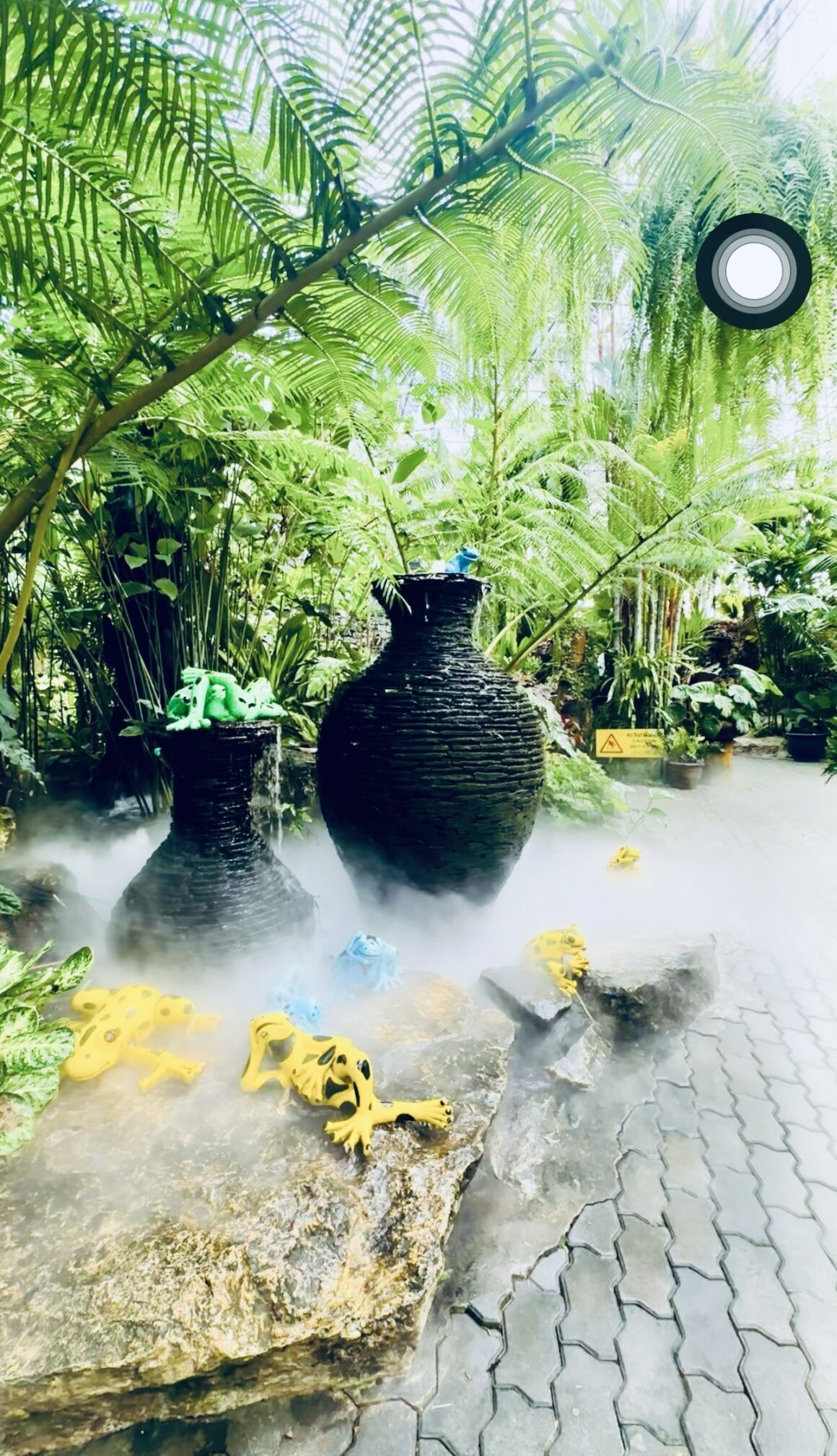 The view of all creatures