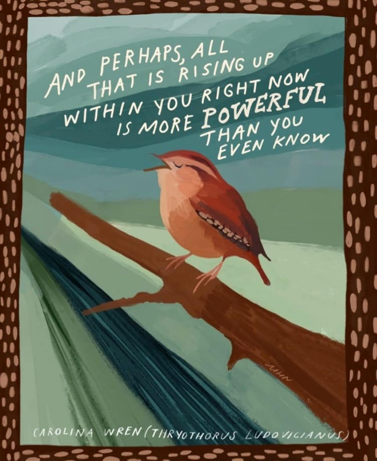A watercolor image of a Carolina wren in shades of brown is on a tree branch with bars of shades of green behind it. It is surrounded by a brown border with light brown dots. White script at the top reads: “And perhaps, all that is rising up within you right now is more powerful than you even know.”