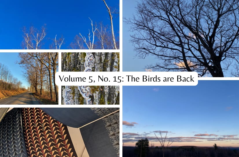 A collection of photos of trees, sky, and sunset with the words: Volume 5, No. 15: The Birds are Back in the center.