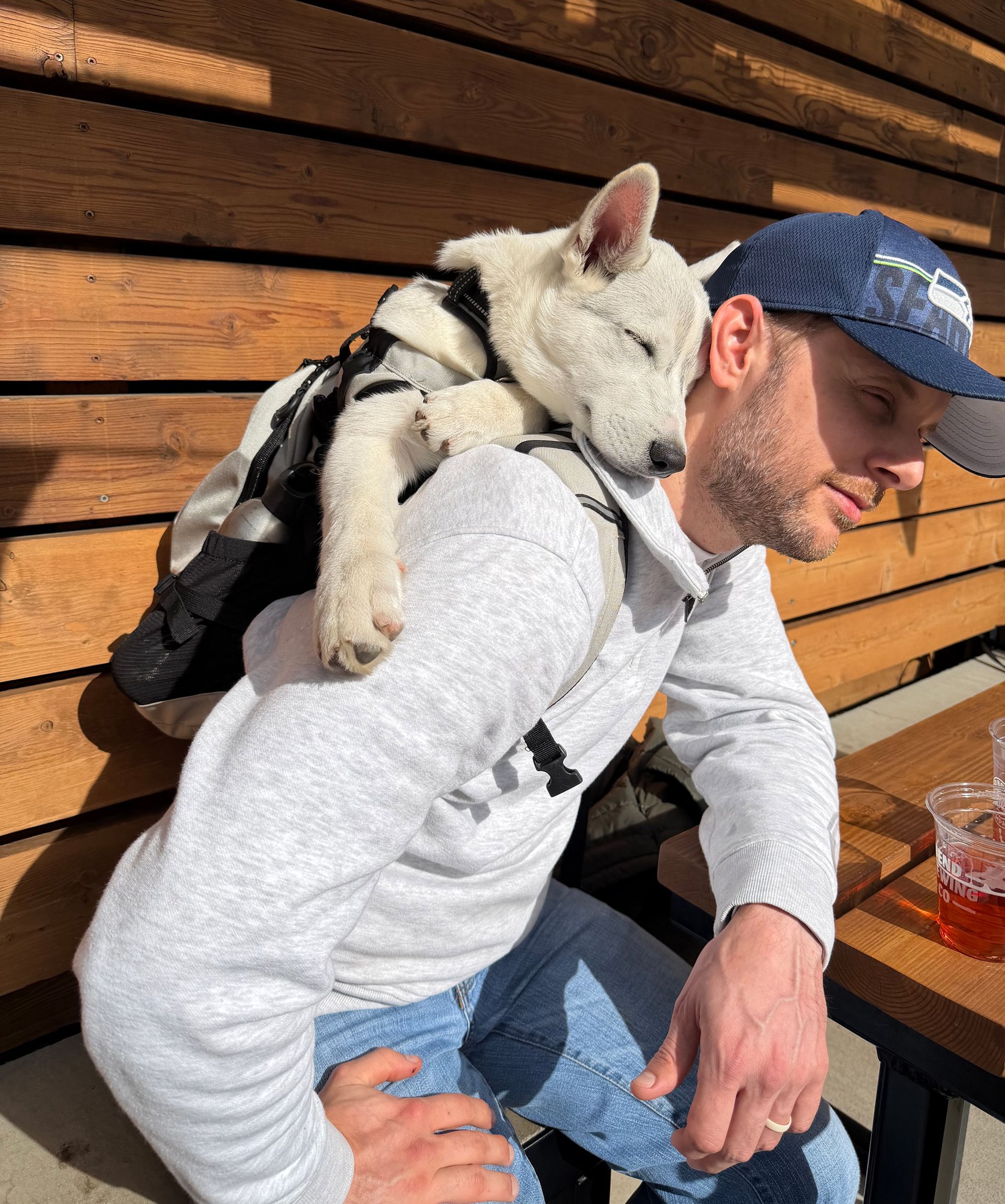 White puppy in a backpack at a brewery, asleep