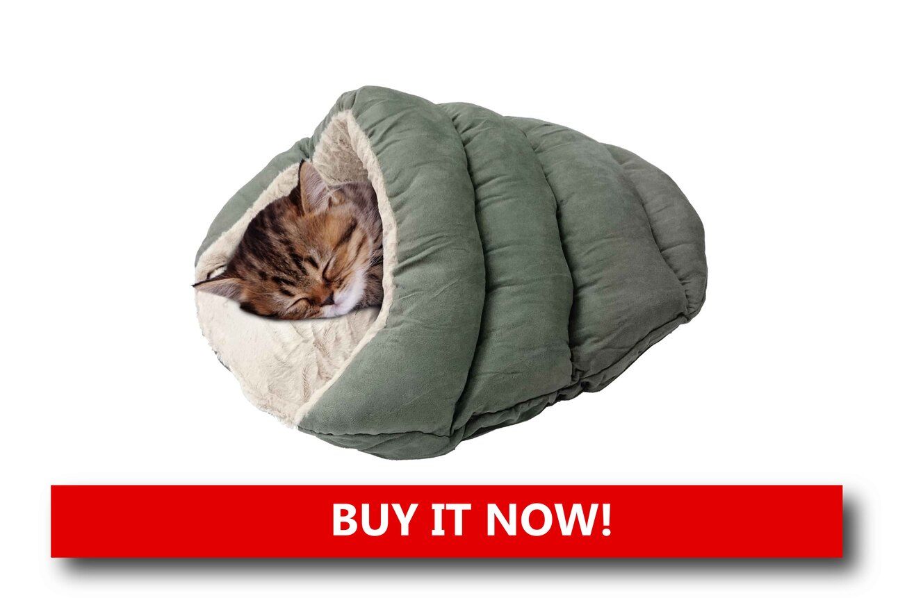 Cuddle Cave Beds Alt text: A cave-style pet bed shaped like a cozy tent, with a small dog’s nose peeking out from under the soft cover.
