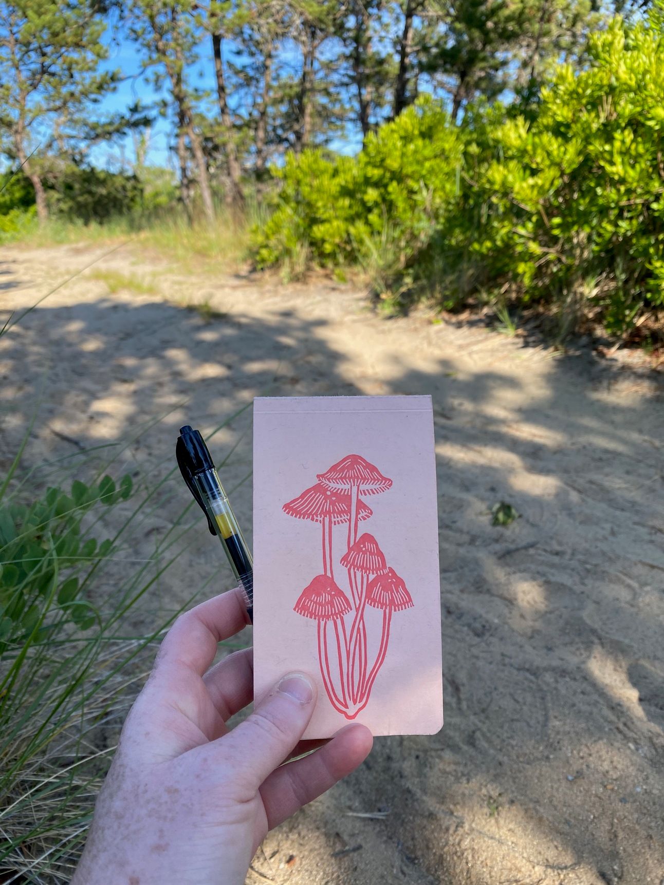 ’m holding a small mushroom notebook and a pen on a trail.