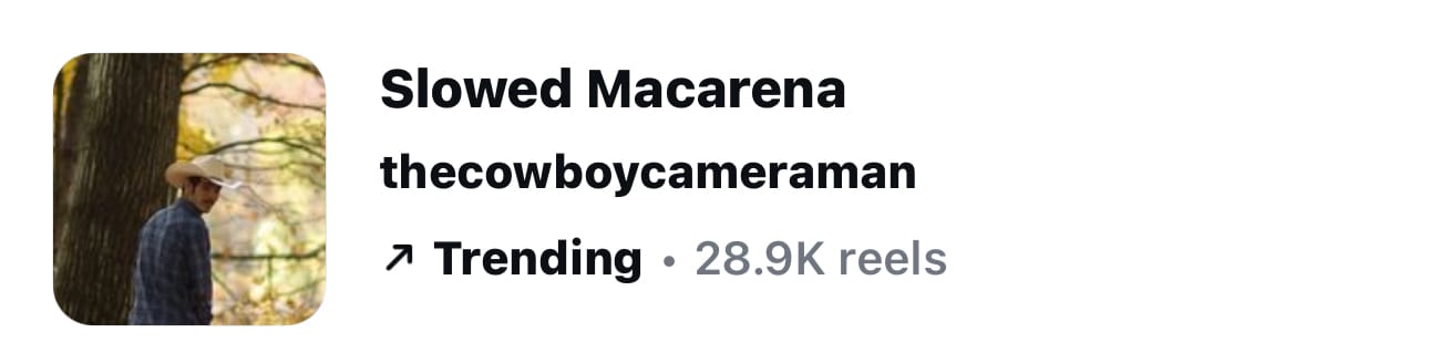 @thecowboycameramand