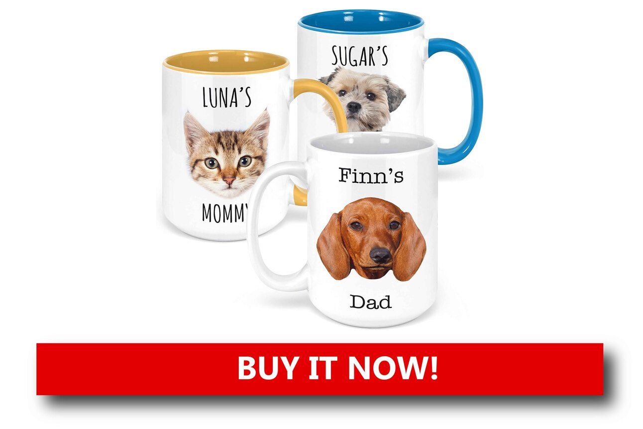 Personalized Pet Name Mugs Alt text: A white ceramic mug featuring a cartoon dog illustration and the pet’s name in festive lettering, placed next to a saucer of cookies and a holiday backdrop.