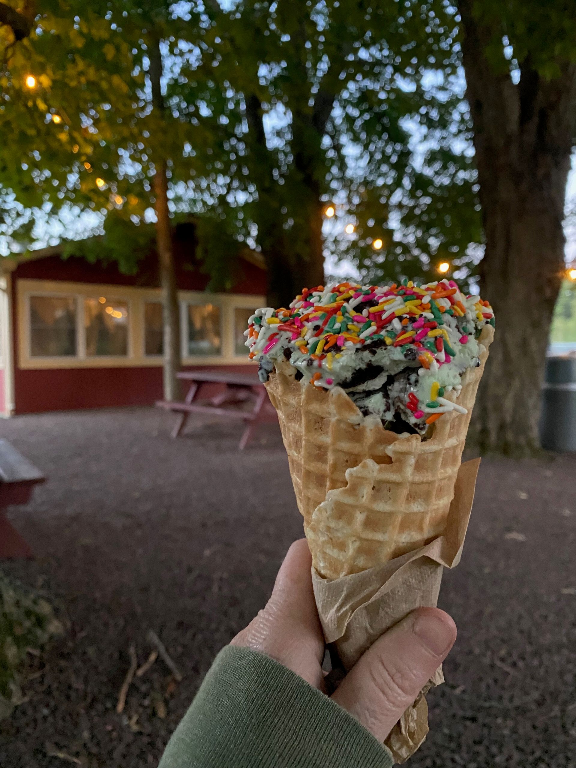 I’m holding an ice cream cone with rainbow sprinkles in front of an ice cream stand and some trees with twinkly lights strung though them.