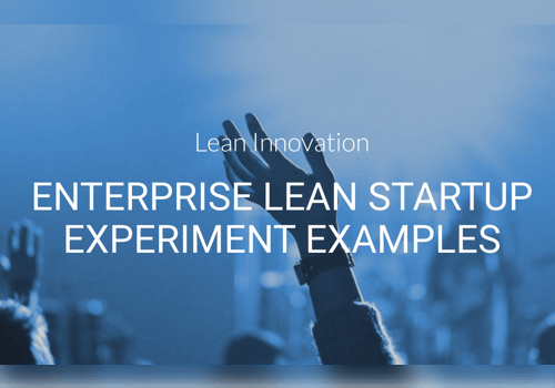 Enterprise Lean Startup
