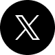 X icon