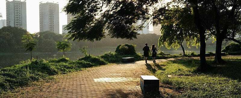 Morning walk and natural light as part of reclaiming health
