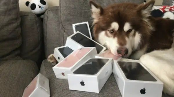 wang-sicong-iphone7b-600x337