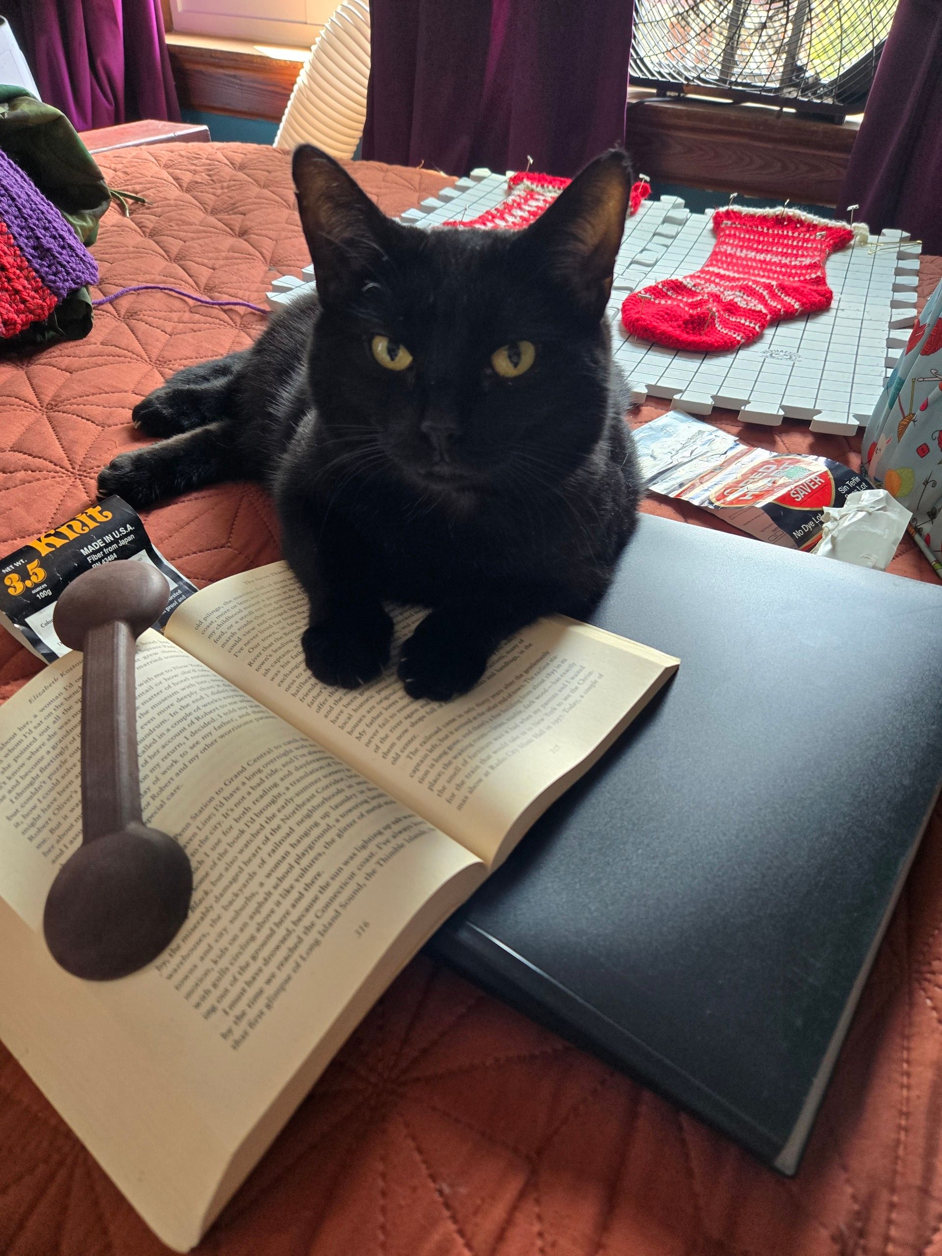 Picture a black asshole of a cat who smugly rests his front half on a book (despite a page holder next to him). Random bullshit is scattered around him, from blocked holiday stockings to paper projects.