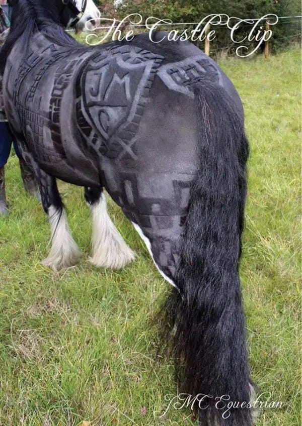 JMC-Equestrian-clipping5-600x848