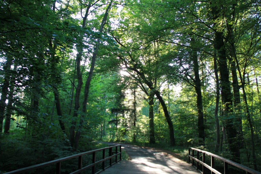 Living a life according to nature