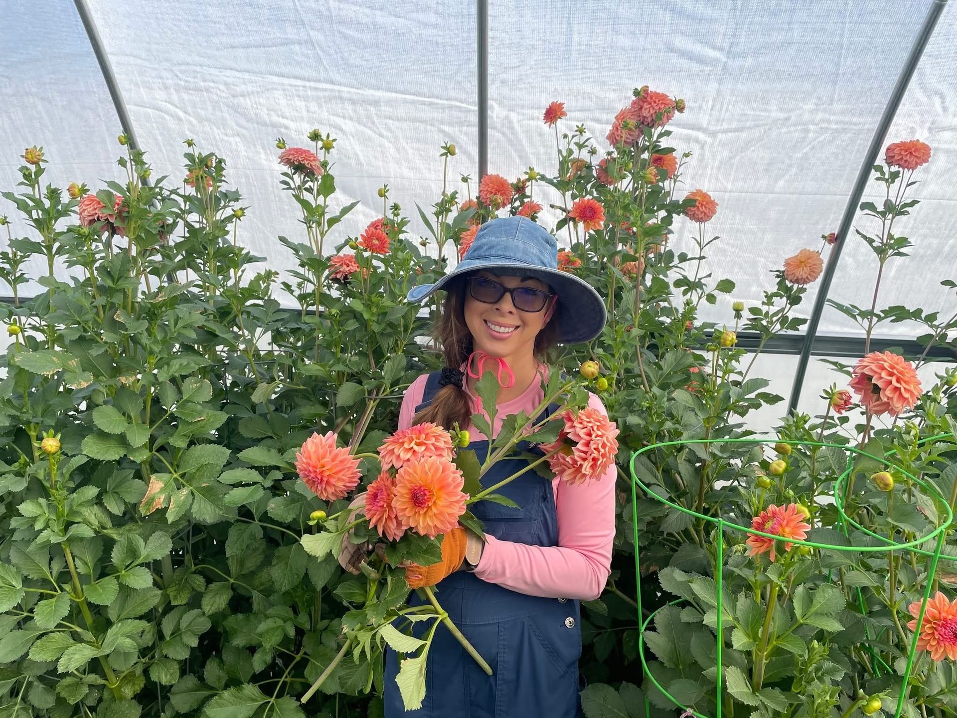 Dianne’s Dahlias