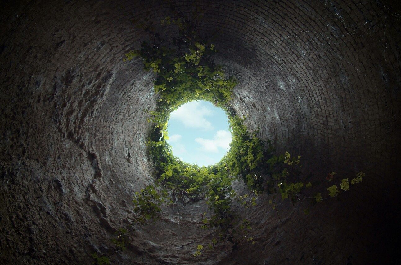 a view up from the bottom of a hole or well, with a round brick wall all around with vines growing down from the top and a small circle of blue sky above