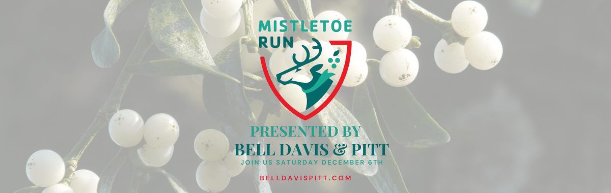 Bell, Davis & Pitt, P.A.