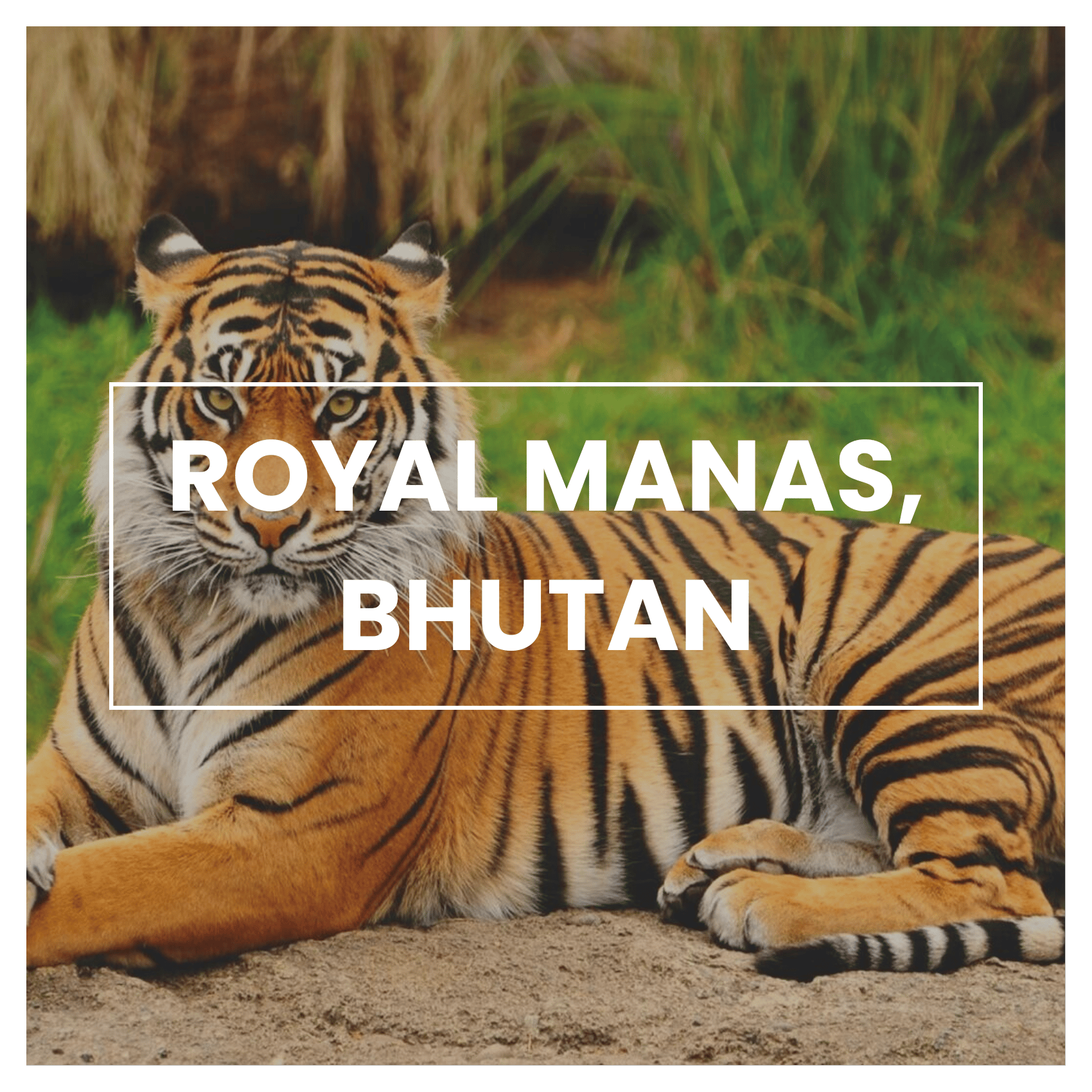 National Parks to Visit in 2026: Royal Manas, Bhutan