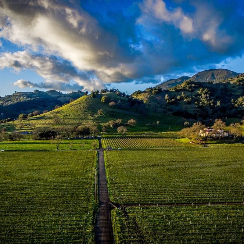a winery surrounded by rolling hills