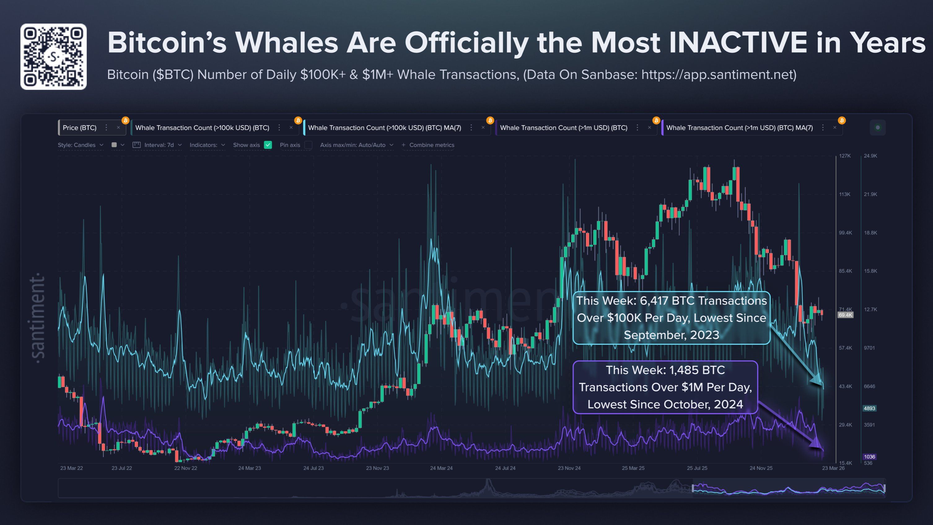 whale-activity-falls-multi-year-lows