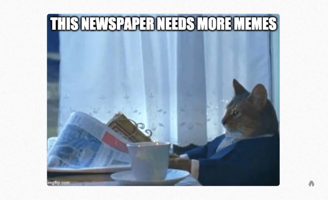 Meme of a cat in a suit reading a newspaper with the caption “This newspaper needs more memes,” humorously suggesting modern newsletters and media should include more internet-style content to engage readers.
