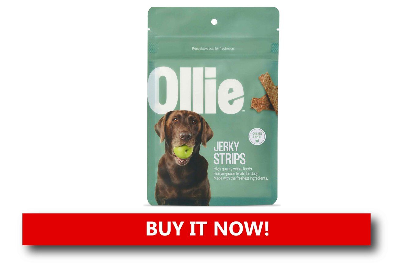 Organic Treat Sampler Packs Alt text: A variety pack of organic pet treats in recyclable pouches, labeled with natural ingredients and set beside festive greenery and a food bowl.