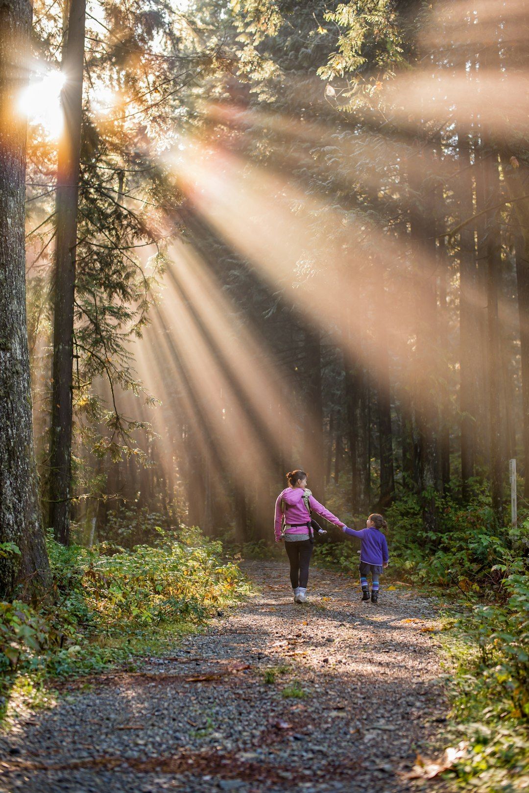 Sun rays beating down on mother and daughter walking in forest