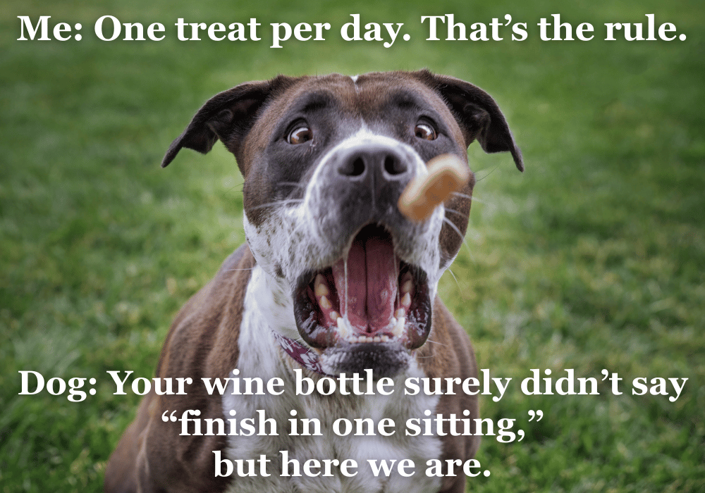 One Treat Per Day.