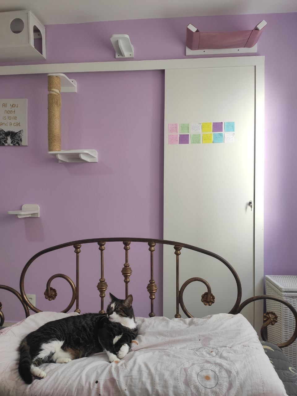 Fotografia de uma parede vista do POV da cama. Há uma porta branca onde há post-ts de diversas cores colados. A parede é lilás com um parquinho de gatp. Um gato gordo está deitado na cama.