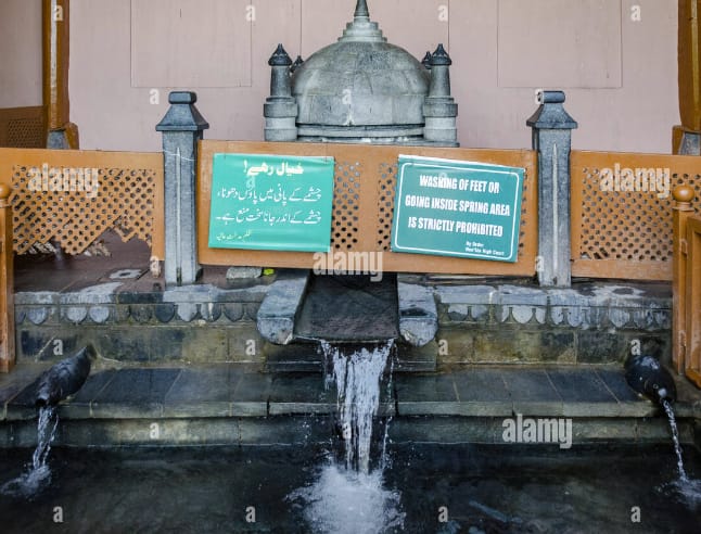 Drinking Fresh Spring Water