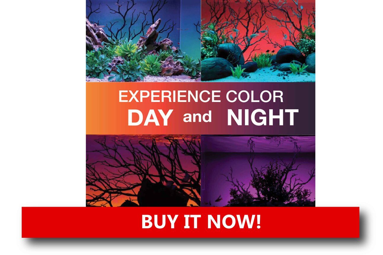 Holiday LED Background Screens Alt text: A tank backed by a cling-on background of snowy mountains and candy canes, softly lit by the aquarium’s LED lighting.