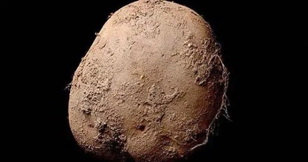 Kevin-Abosch-potato-600x315