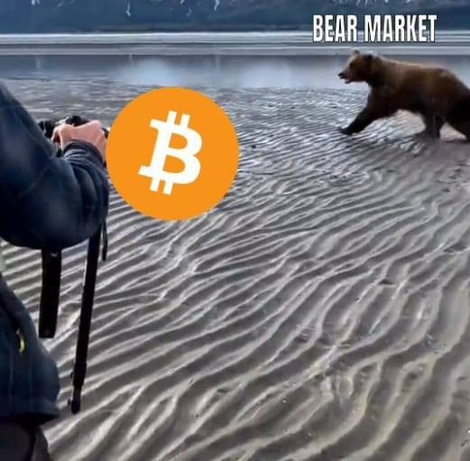 bitcoin-meme