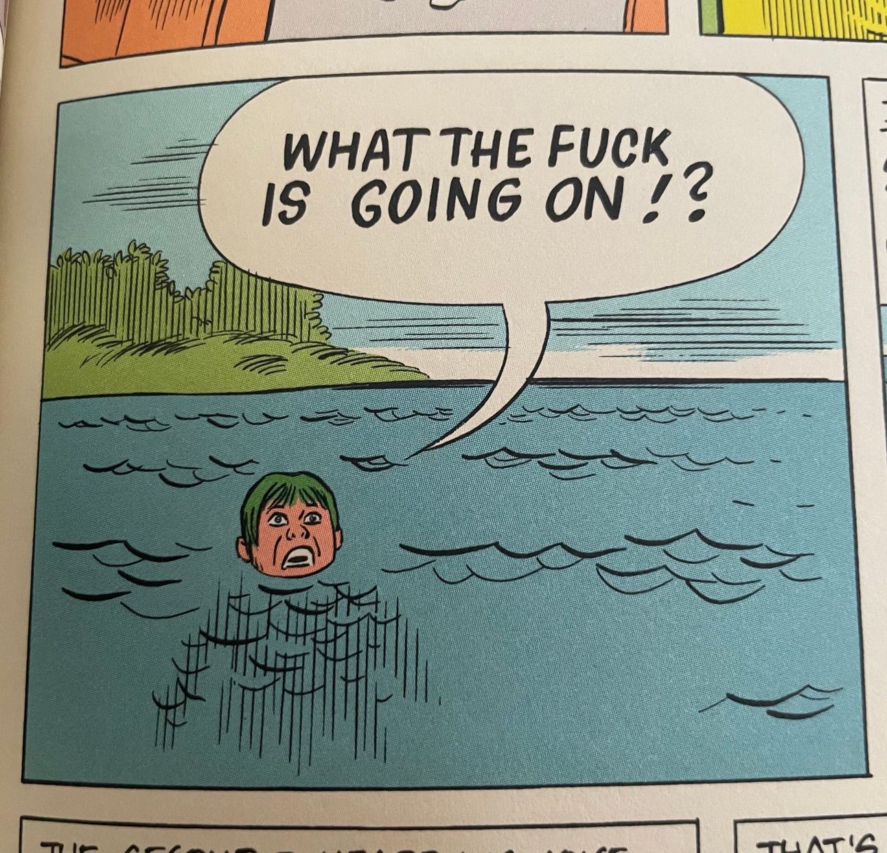 Sur cette case de BD dessinée par Daniel Clowes, on voit une jeune femme sortir de l'eau en criant "WHAT THE FUCK IS GOING ON ?!"