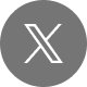 X icon