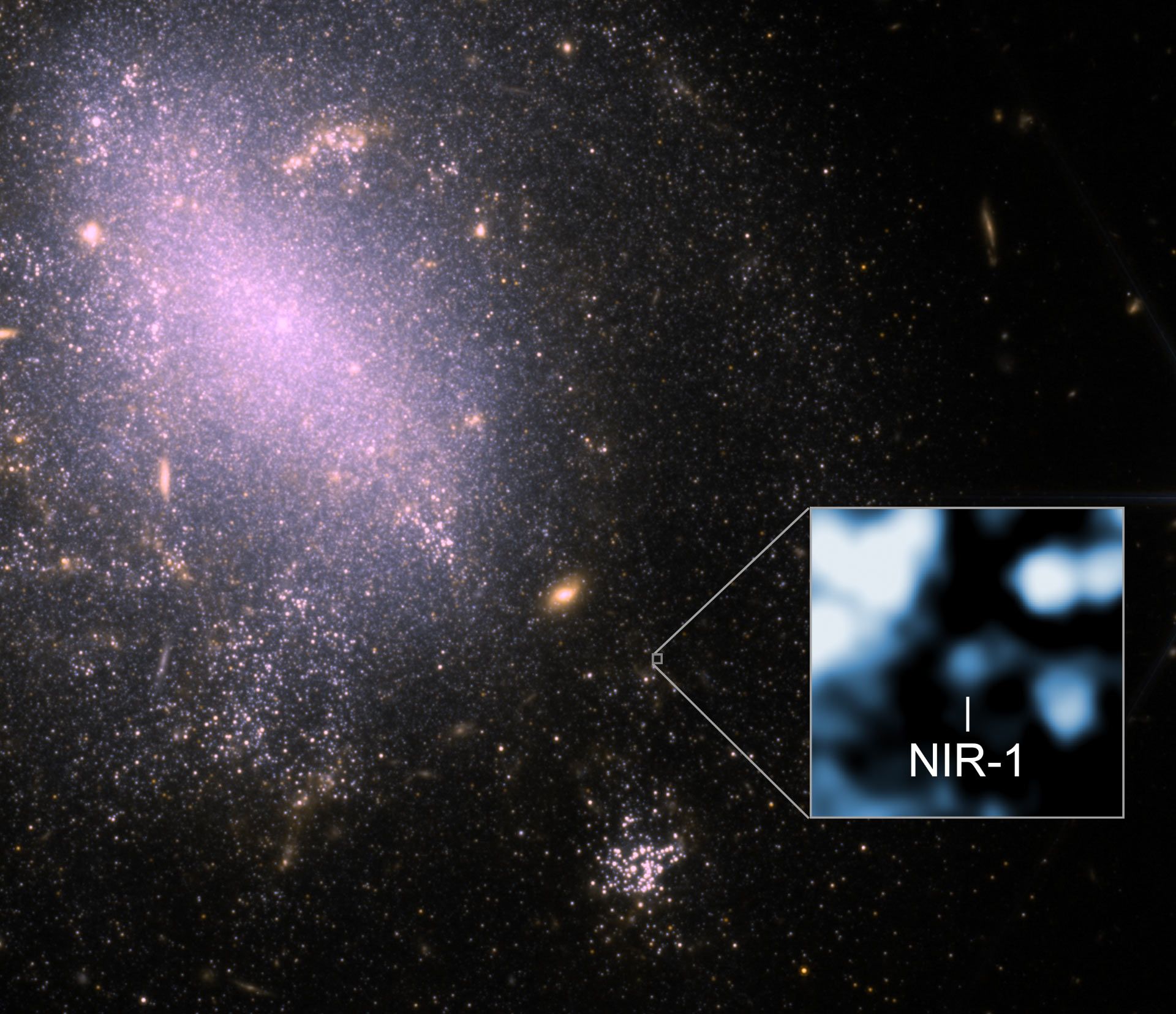 JWST captures NGC 4141 along with the identified source of RBFLOAT, designated NIR‑1. (Credit: NASA/ESA/CSA/CfA/P. Blanchard et al.; image processing by CfA/P. Edmonds)