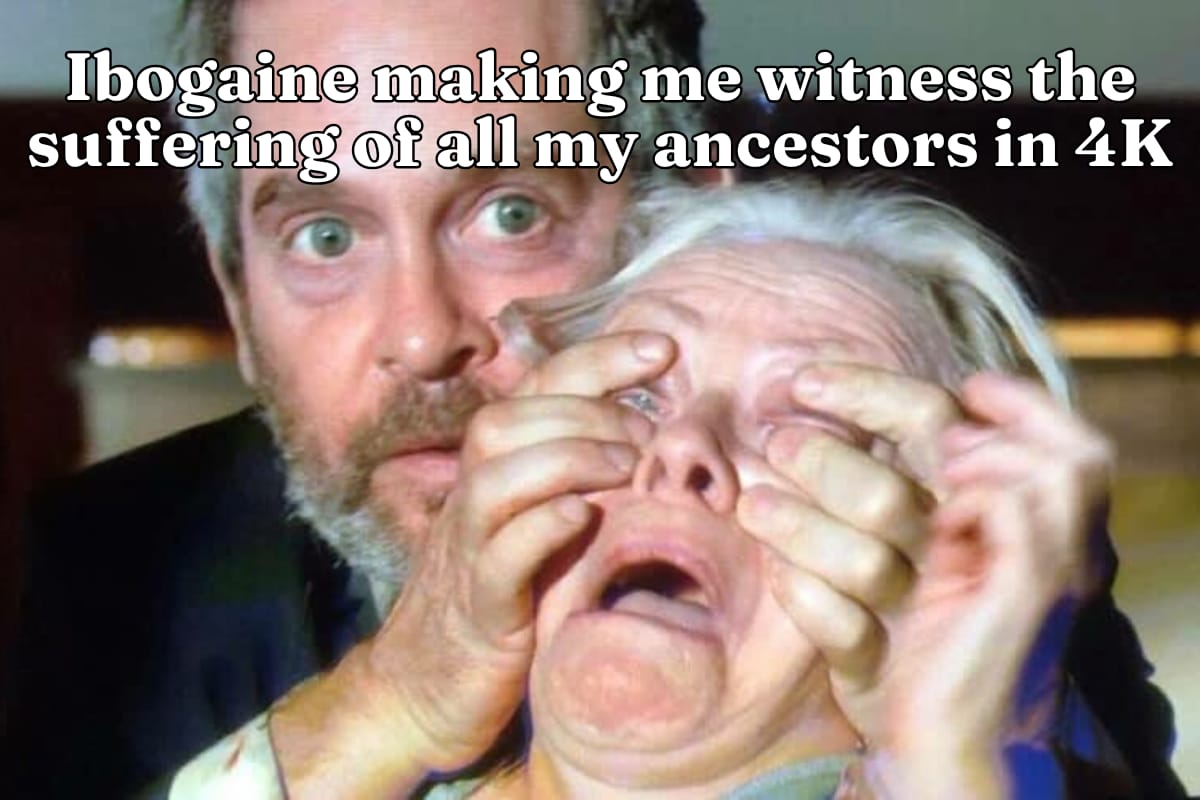 Ibogaine making me witness the suffering of all my ancestors in 4k