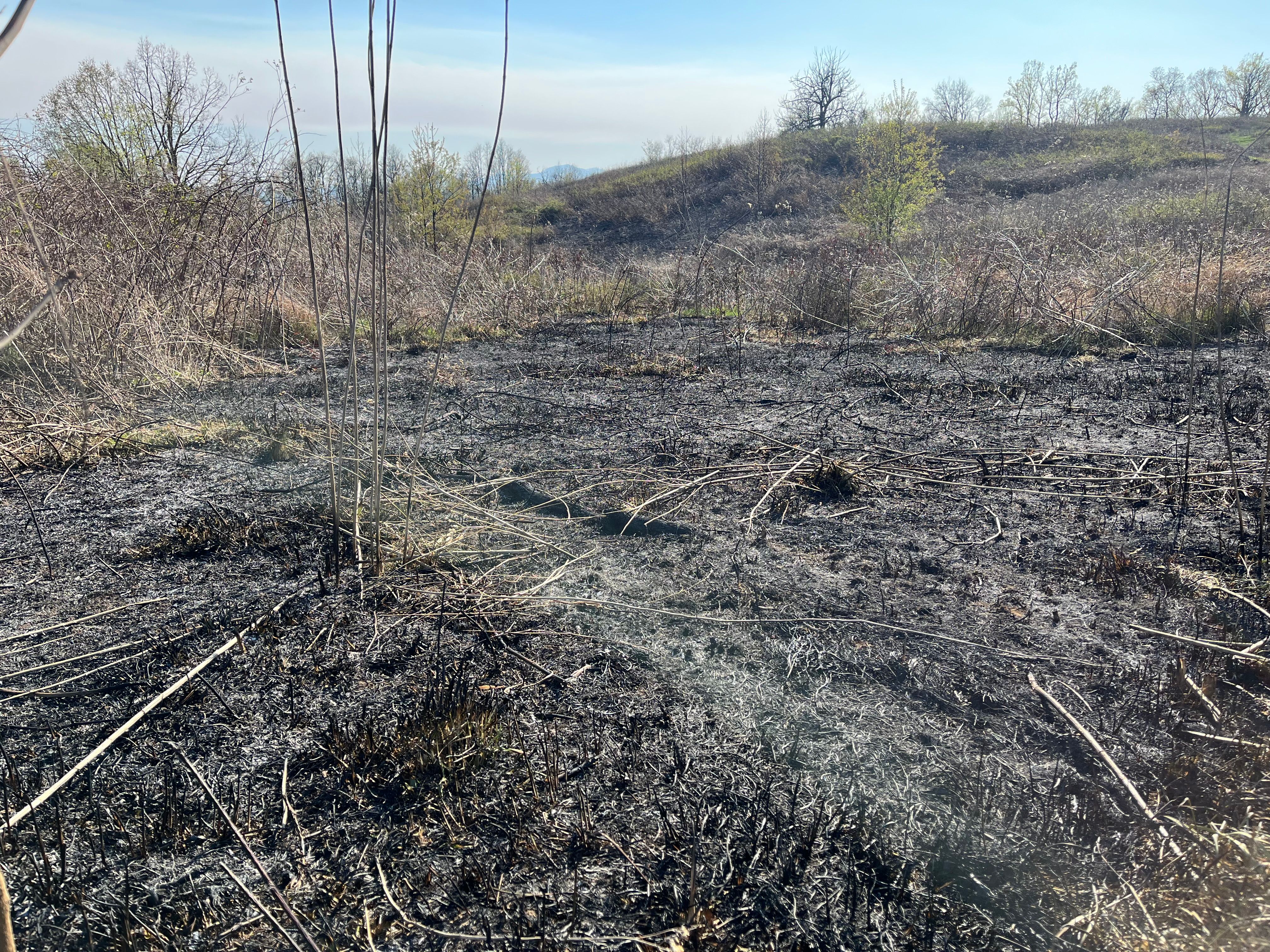 the blackened earth of a field burn next to dried vegetation that is unburned