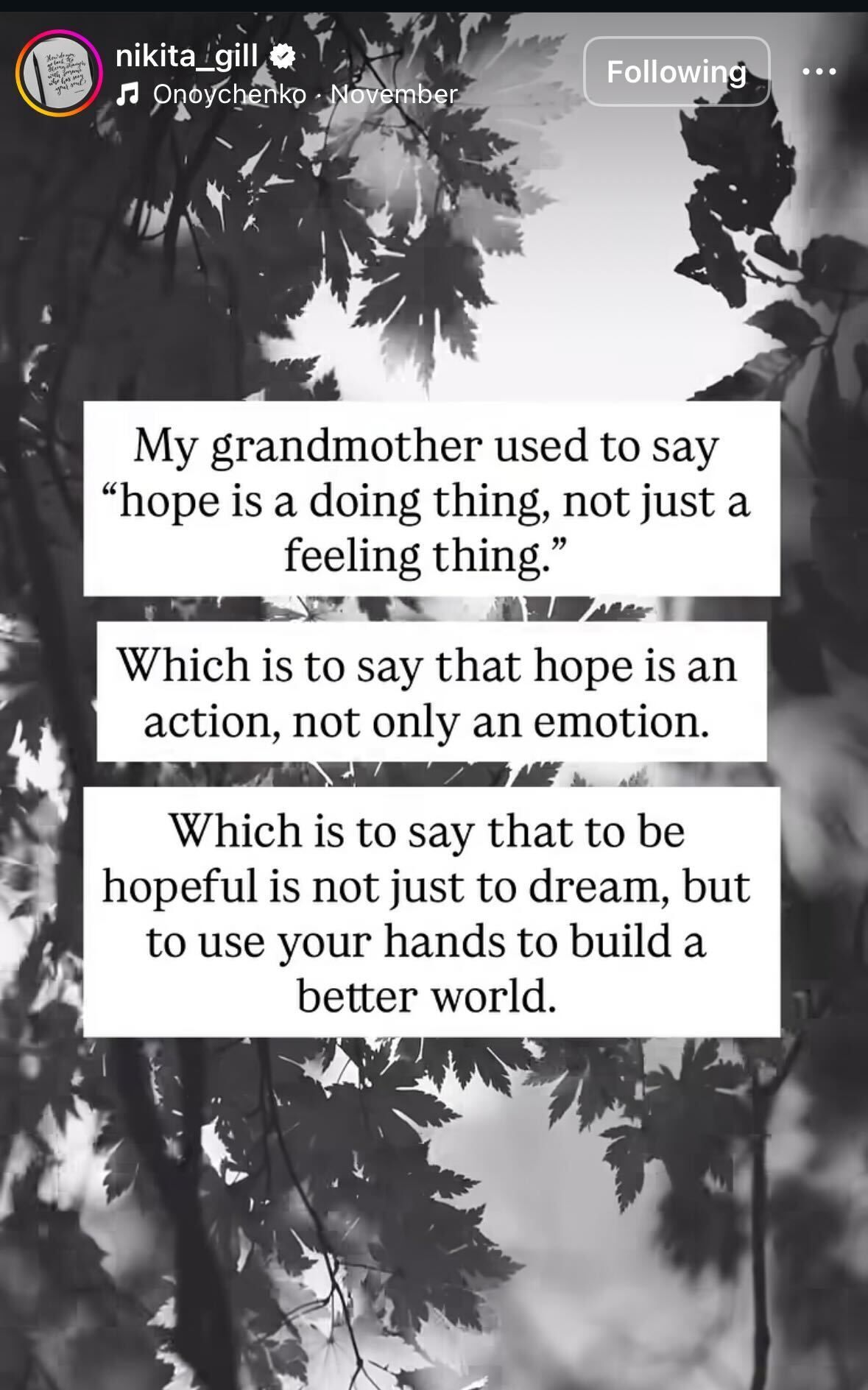screenshot of an instagram post with a black and white photo of leaves on a tree. overlayed text says "my grandmother used to say 'hope is a doing thing, not just a feeling thing.' which is to say that hope is an action, not only an emotion. which is to say that to be hopeful is not just a dream, but to use your hands to build a better world."