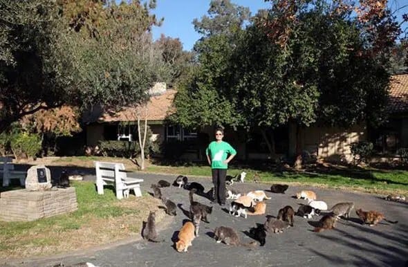 cat-lady-442026