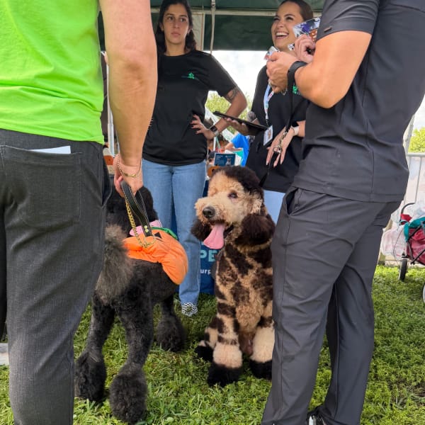Costume Contest