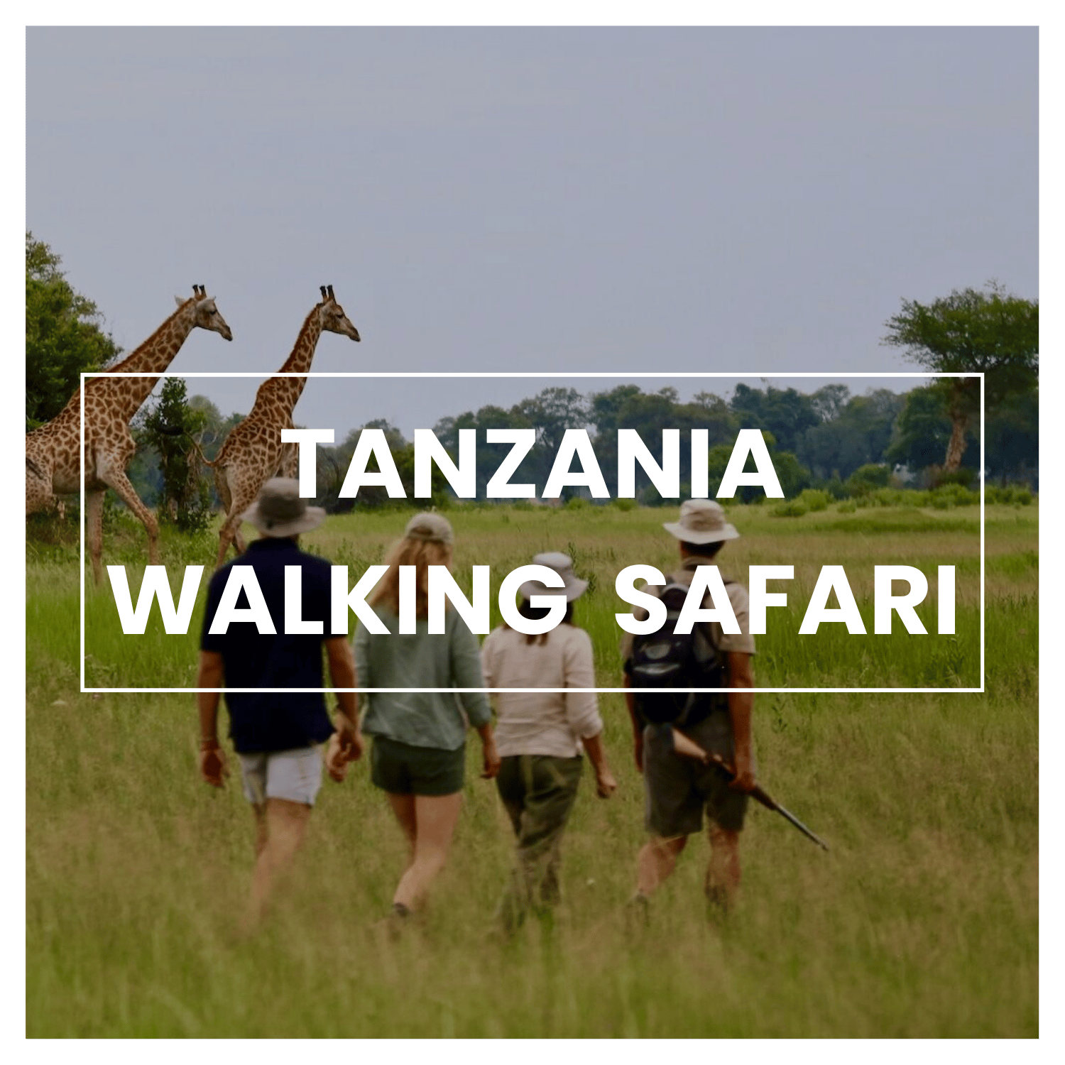 Dream Vacations: A Conservation and Walking Safari in Southern Africa