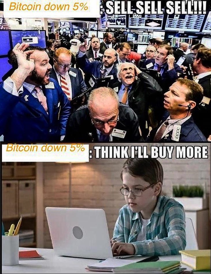 crypto-meme