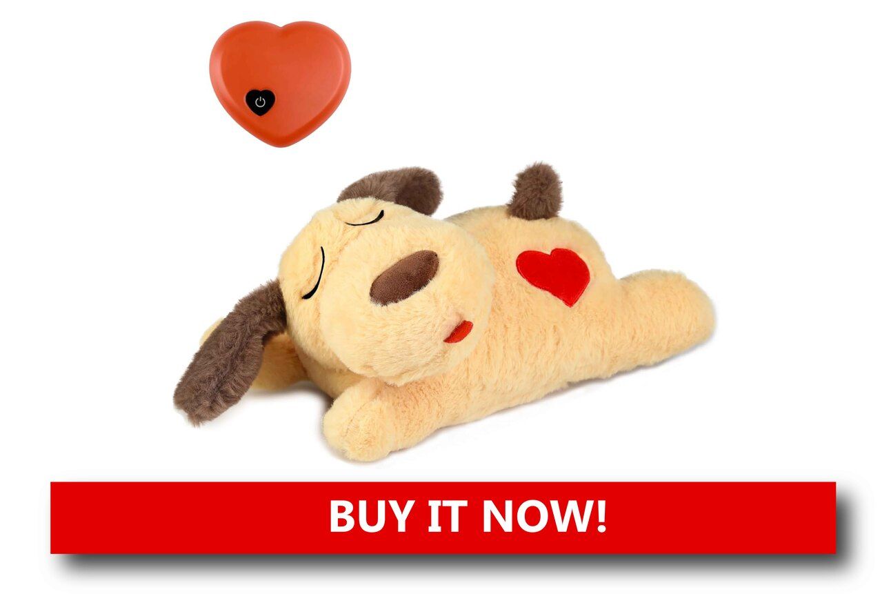 Scented Warmable Toys and Pillows Alt text: A lavender-scented plush toy with a microwaveable warming insert, resting beside a sleeping dog wrapped in a holiday blanket.