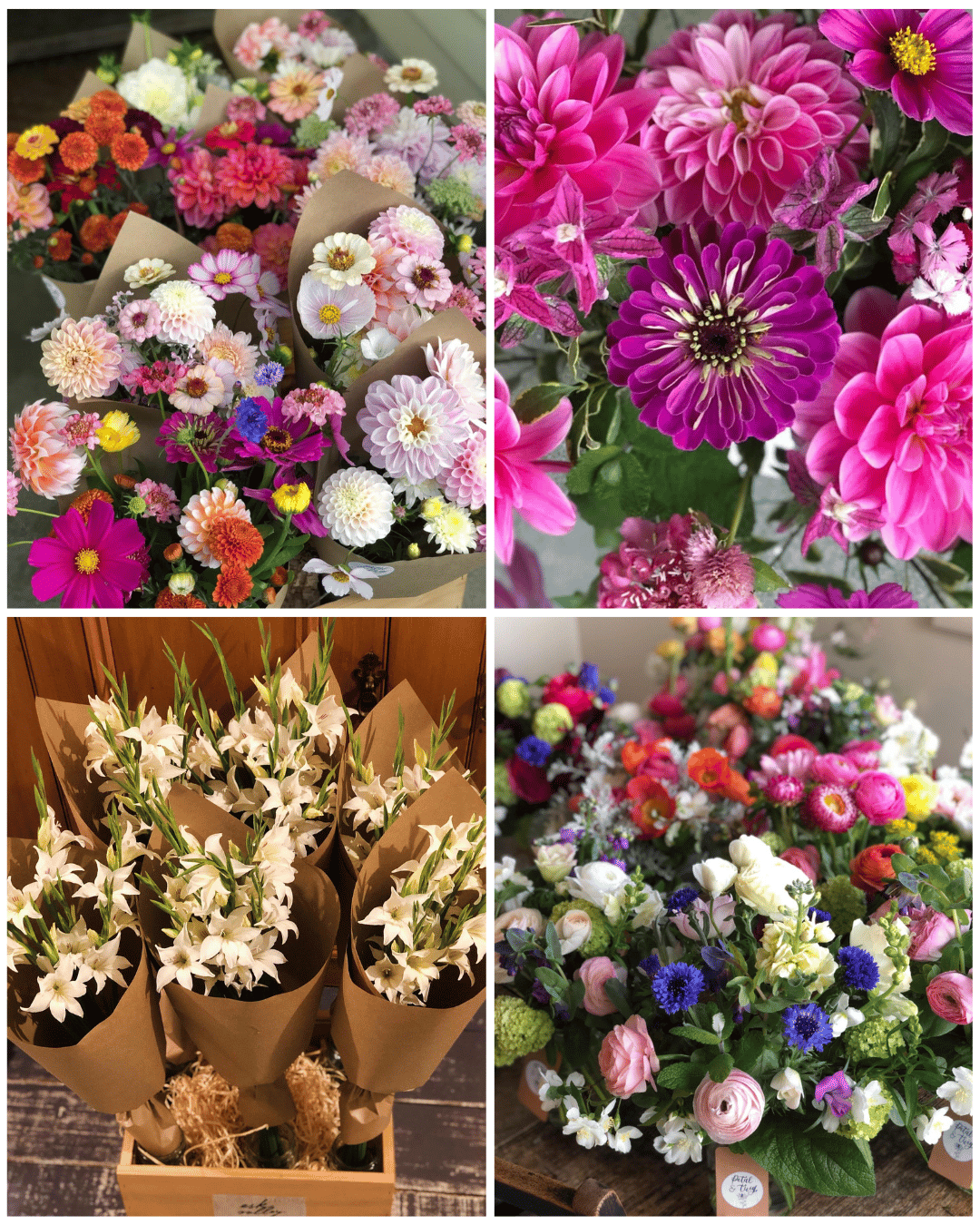 Petal & Twig (Alicetown, Lower Hutt)