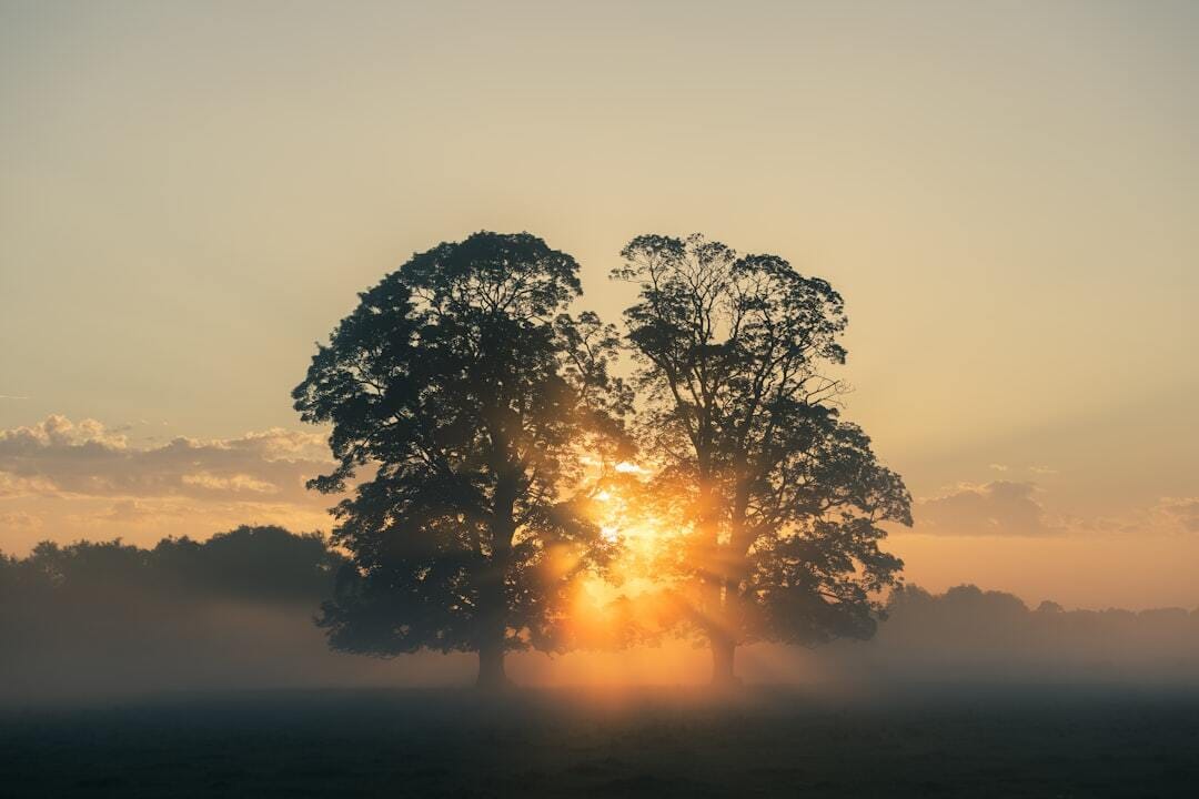The sun rises through the morning mist in Monmouthshire Wales. Usk Valley