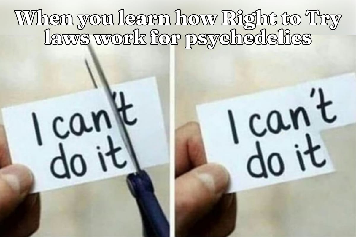 When you learn how Right to Try laws work with psychedelics
